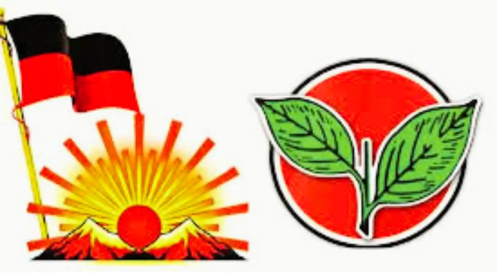 Coimbatore South Constituency Profile: A Key Urban Electoral Battleground in Tamil Nadu