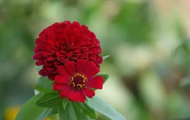 Hero Image