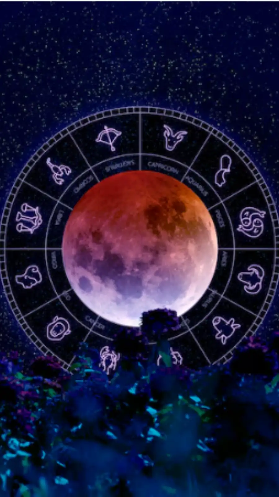 Daily Horoscope Today, November 8, 2025: Insights for All Zodiac Signs