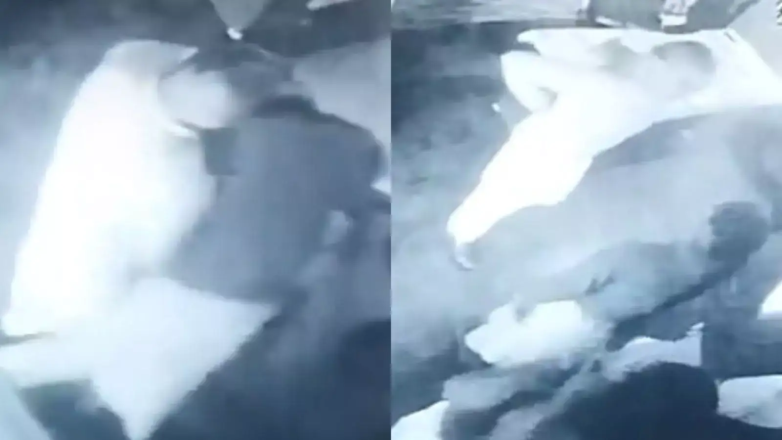 Haryana School Principal Caught On Camera Assaulting Girl, Drags Her By Hair In Shocking Video