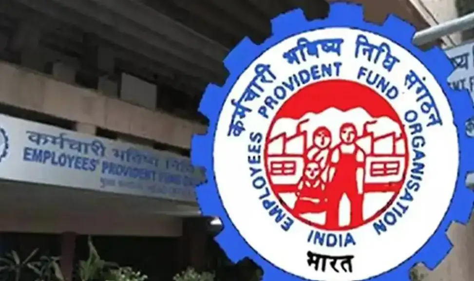 EPFO Update: Incorrect Job Details May Delay PF Transfer and Lead to Claim Rejection