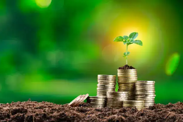Simple Daily Habits That Can Help You Save More Money Over Time