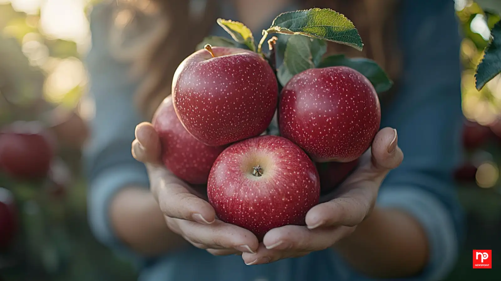 Why Apples Continue to Be One of the Healthiest Fruits You Can Eat