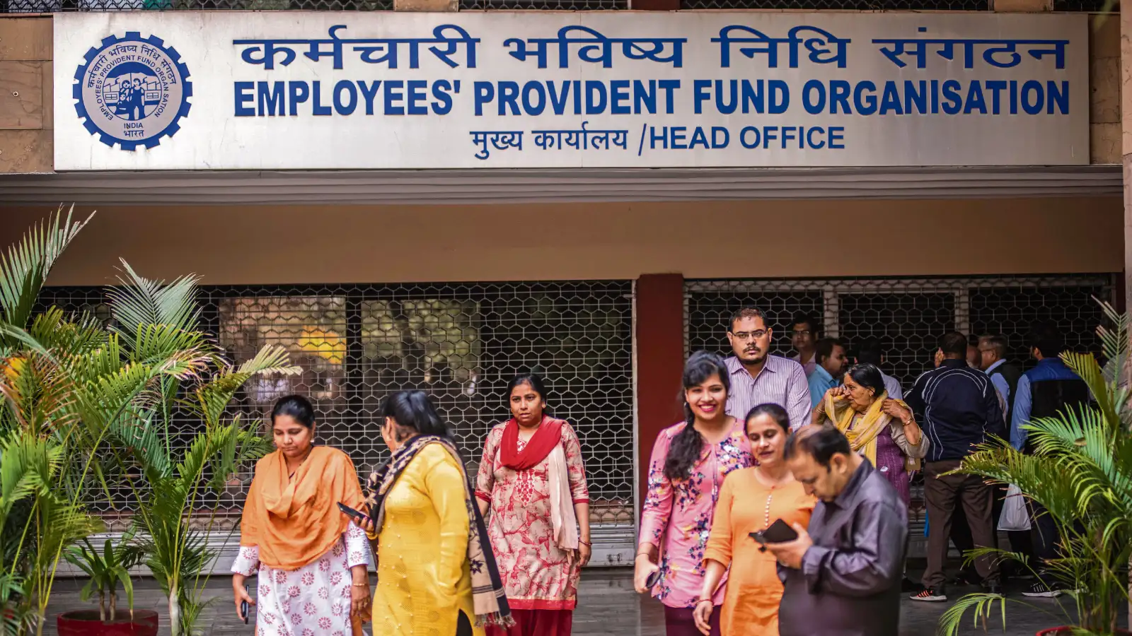 EPFO Balance Check: UMANG App, SMS, WhatsApp और Missed Call से ऐसे चेक करें PF बैलेंस और पासबुक डिटेल्स
