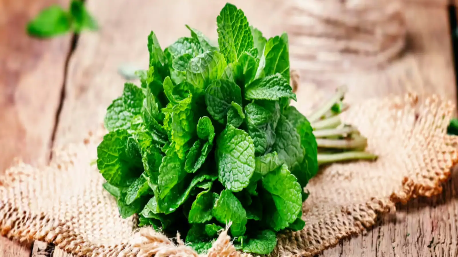 Mint Leaves Health Benefits: Why This Kitchen Herb Is More Than Just a Garnish