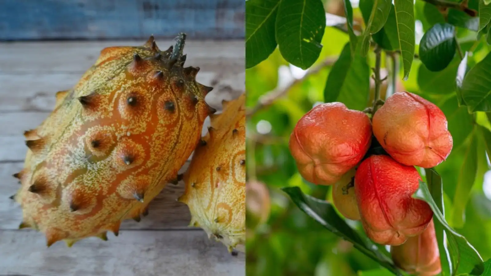 10 Exotic Fruits From Around the World You May Not Know