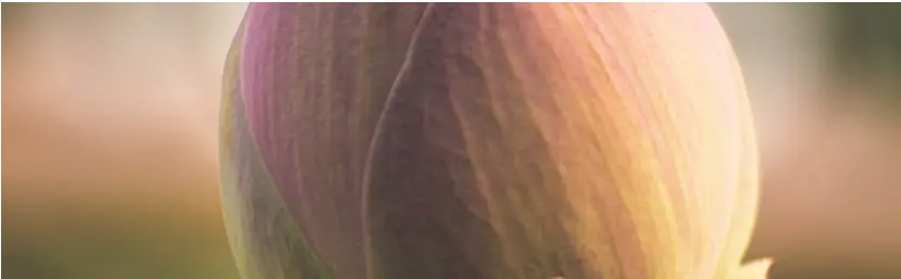 Beej Sanskar concept