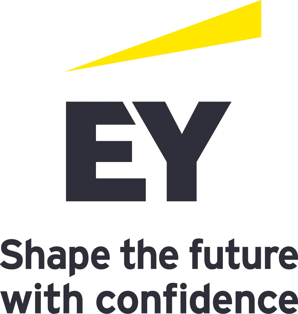 Process Advisors Icon