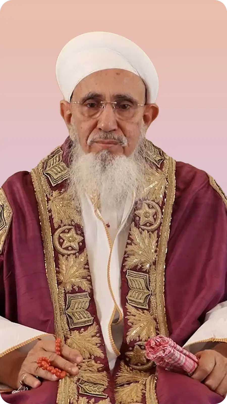 Syedna Mufaddal Saifuddin