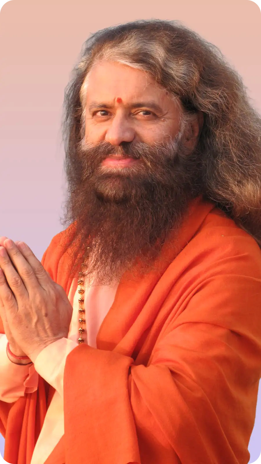 Swami Chidanand Saraswati