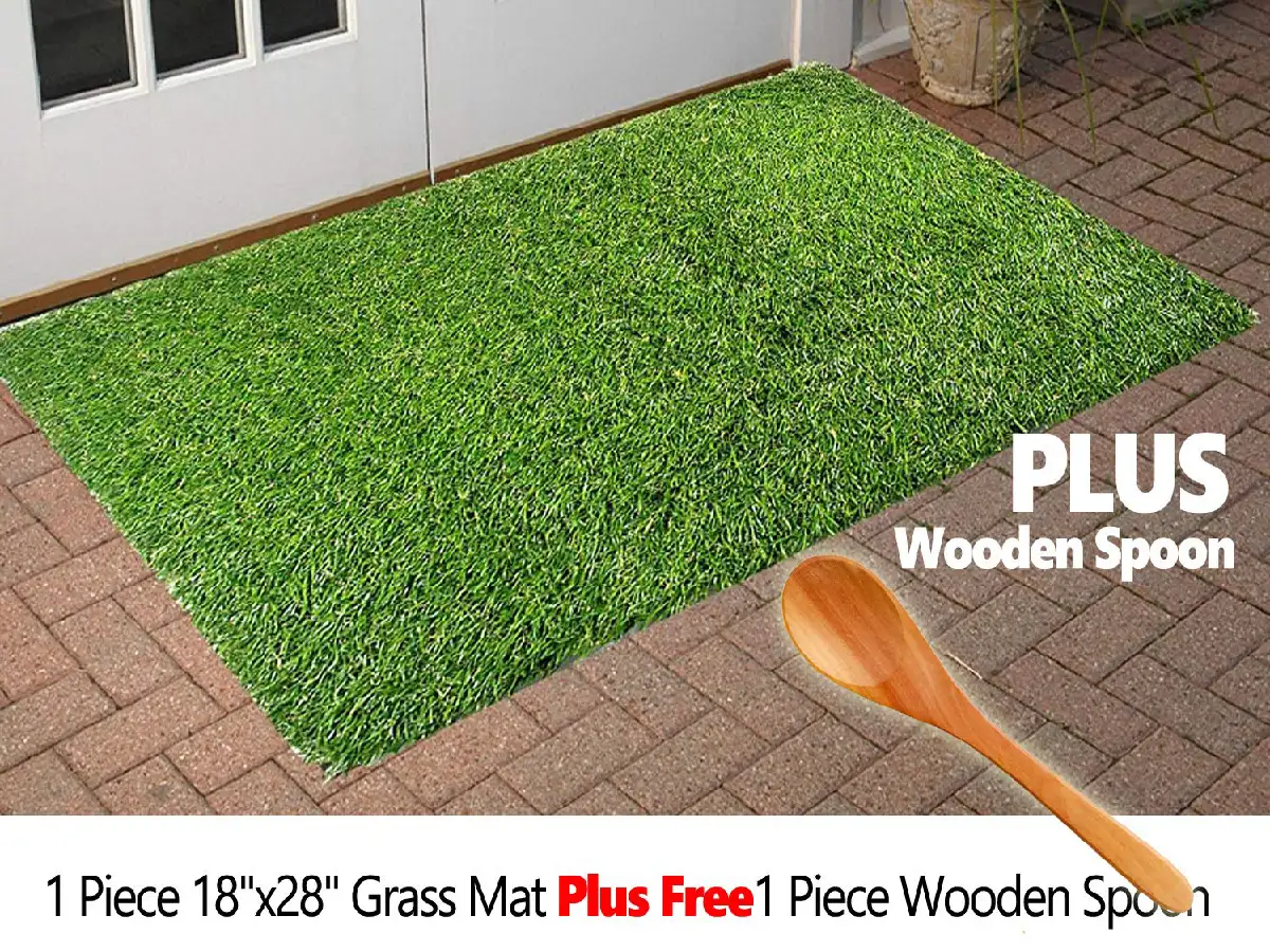Grass doormat घर की चौखट पर रखें ये Artificial Grass Door Mats, Amazon