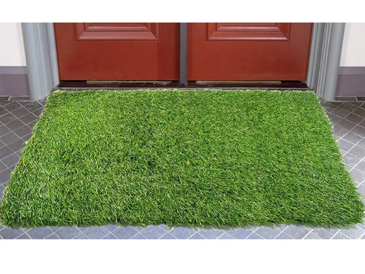 Grass doormat घर की चौखट पर रखें ये Artificial Grass Door Mats, Amazon