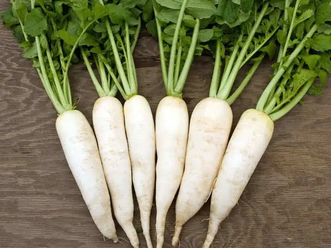 Do not eat these 5 things during Kartik mass month, Why don't eat non-veg during Kartika month?