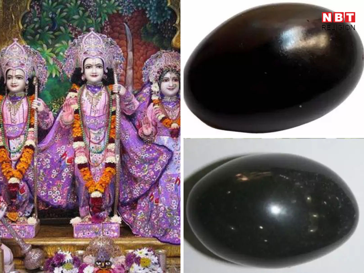 Shaligram Puja benefits: शलिग्राम पूजा के इतने ...