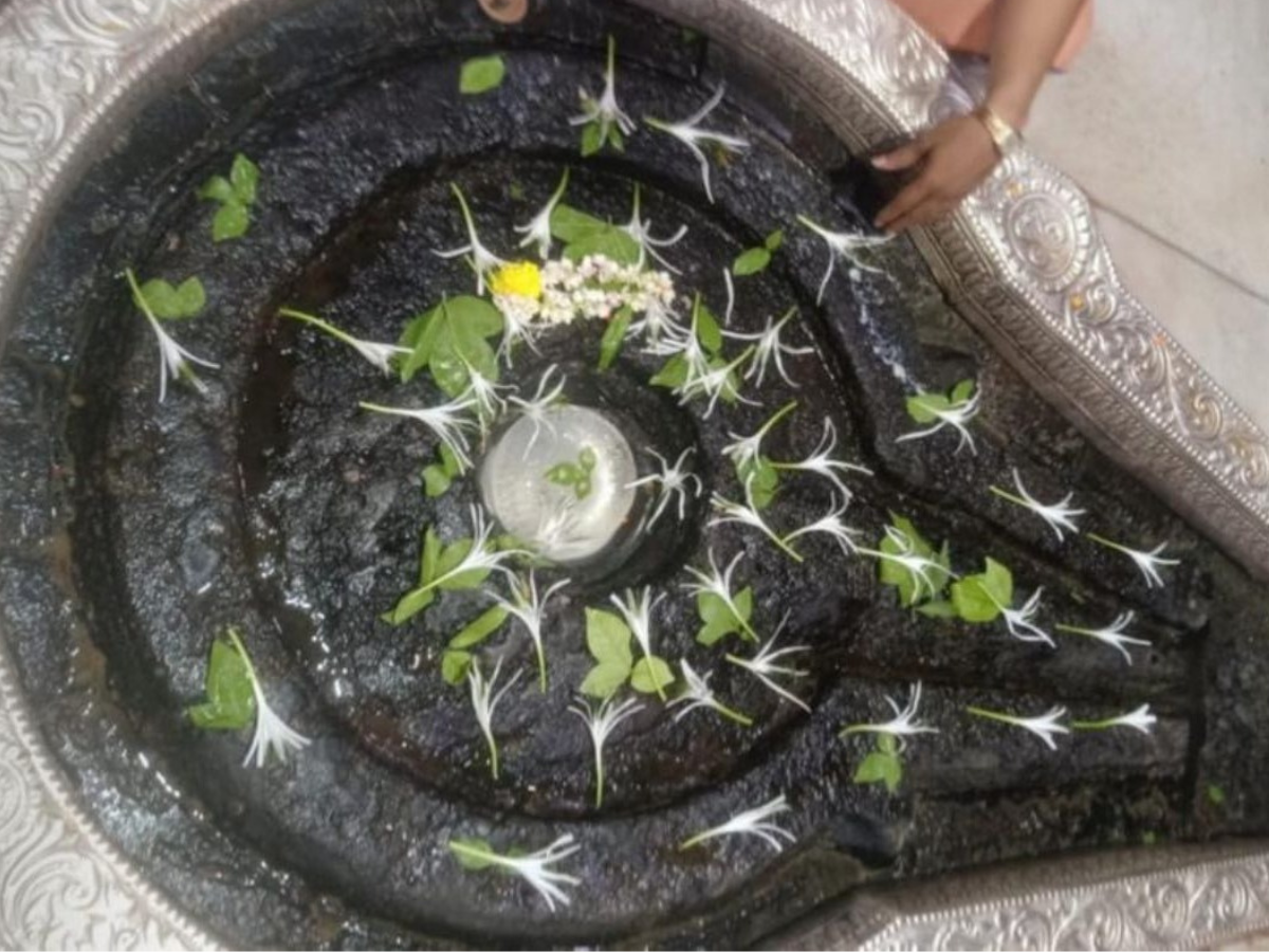 Miraculous Snow On Shankar Pindi Shivling In Nashik Trimbakeshwar ...