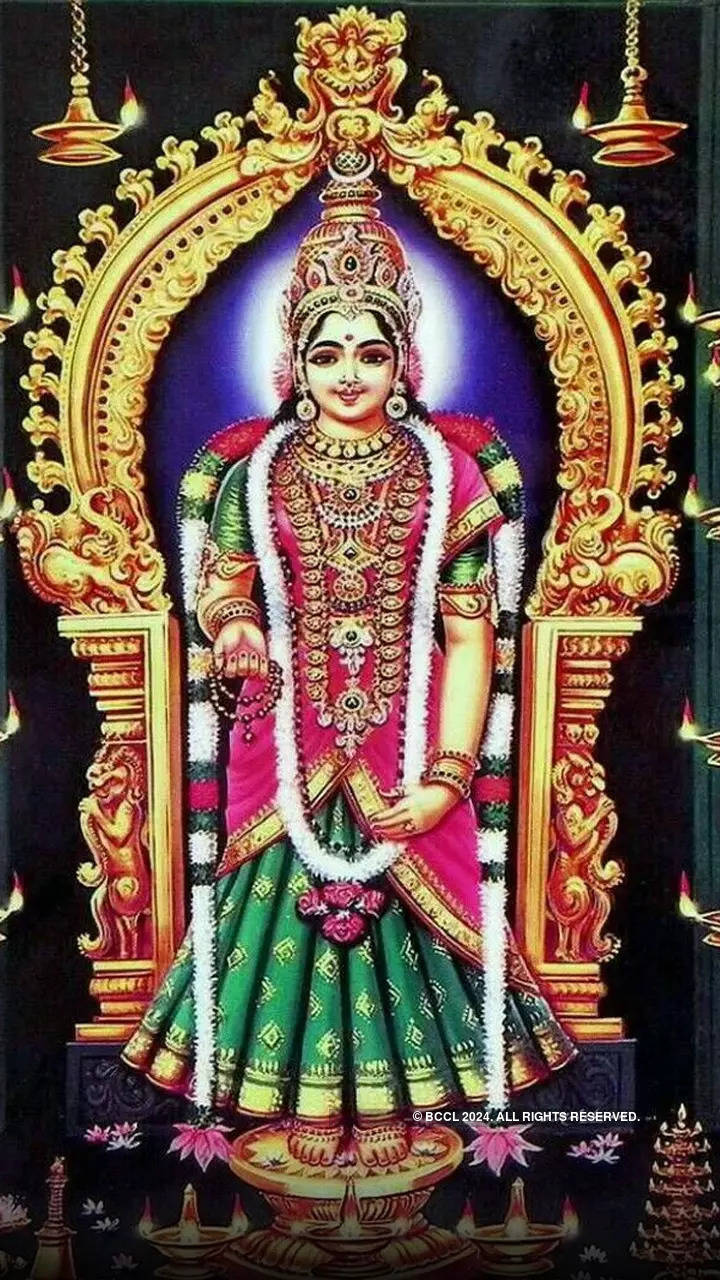 Sarvani Shaktipeeth Sri Bhagavathy Amman Temple Kanyakumari Tamil Nadu