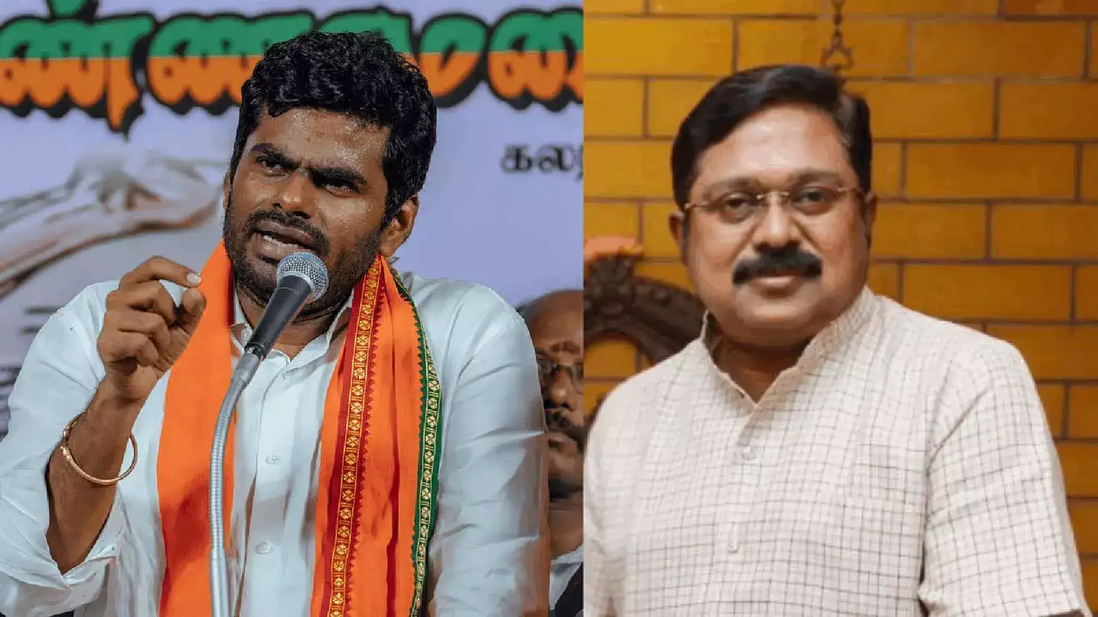 அண்ணாமலையுடன் பேசியது என்ன... டிடிவி தினகரன் பரபரப்பு விளக்கம்! 