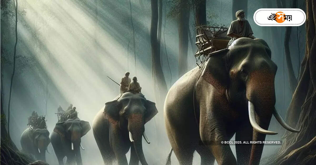 কুনকি দিয়ে নজরদারি বক্সাতেও কুনকি দিয়ে নজরদারি বক্সাতেও