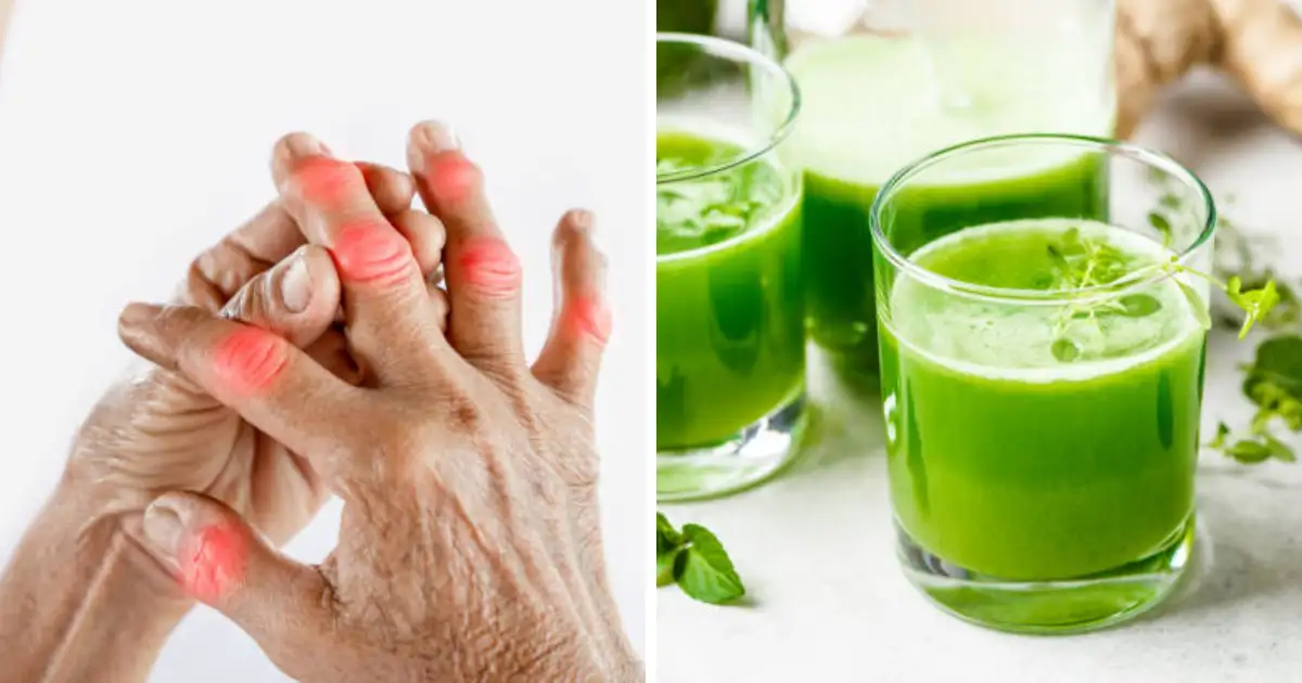 How To Control Uric Acid with Bottle Gourd Juice Control Joint Pain