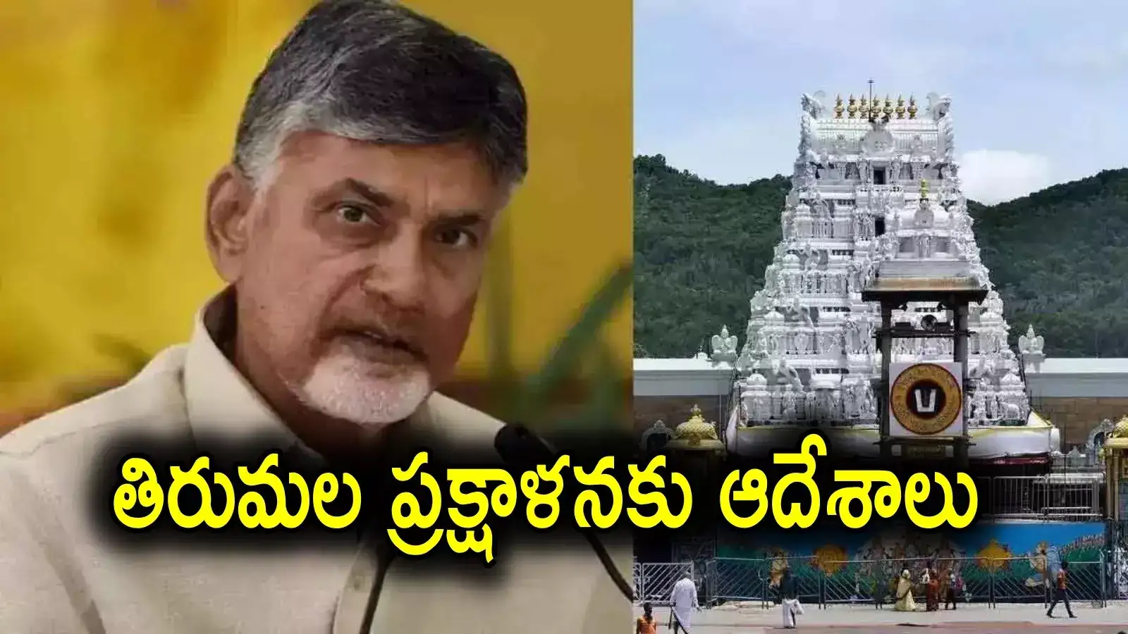 TTD: తిరుమలలో 100 శాతం ప్రక్షాళన.. టీటీడీ సమీక్షలో సీఎం చంద్రబాబు కీలక ఆదేశాలు