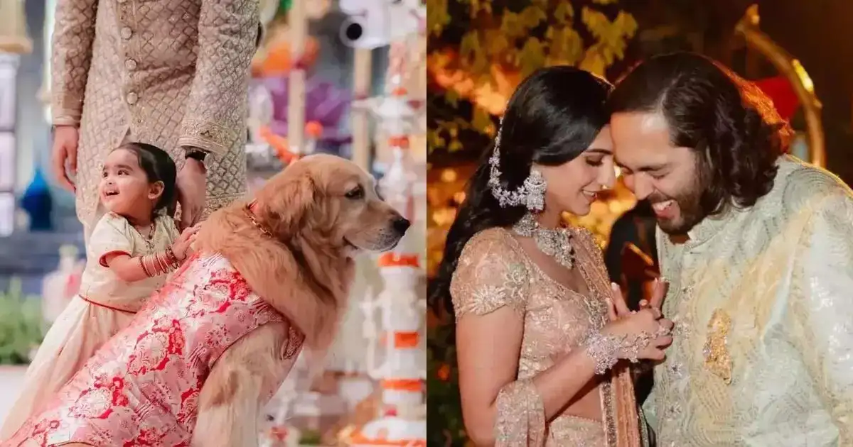 முகேஷ் அம்பானி வீட்டு நாய் பென்ஸ் காரில் தான் போகுமாம்: அந்த காரின் விலை ரூ. 4 கோடி மட்டுமே 