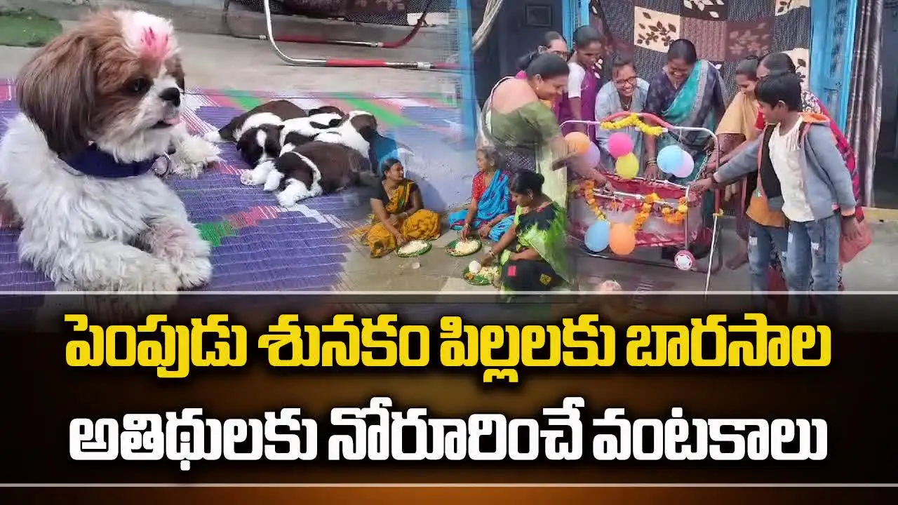 కుక్కపిల్లలకు బారసాల.. కల్లు గూడాలతో గెస్టులకు అదిరే దావత్.. వీడియో వైరల్