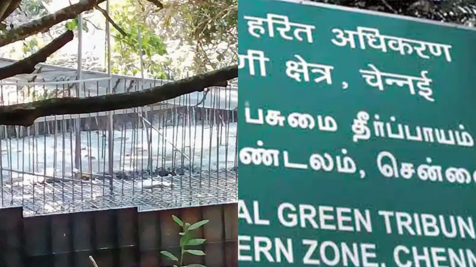 அணை கட்ட அனுமதி இருக்கா? கேரளாவுக்கு பசுமைத் தீர்ப்பாயம் கிடுக்கிப்பிடி - அதிரடி உத்தரவு! 