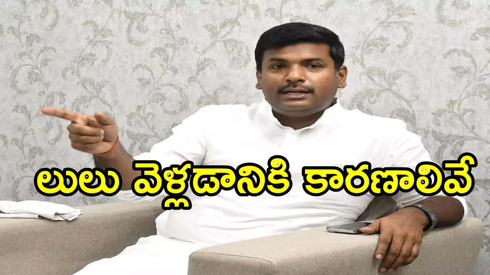 ఏపీ నుంచి 'లులు'ను మేమే పంపించాం.. కారణాలివే: మాజీ మంత్రి గుడివాడ అమర్