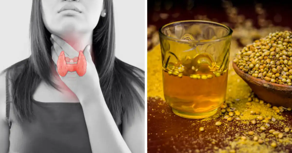 Health Benefits of Drinking Coriander Water on Empty Stomach; रोज सकाळी प्याल धणे पाणी तर