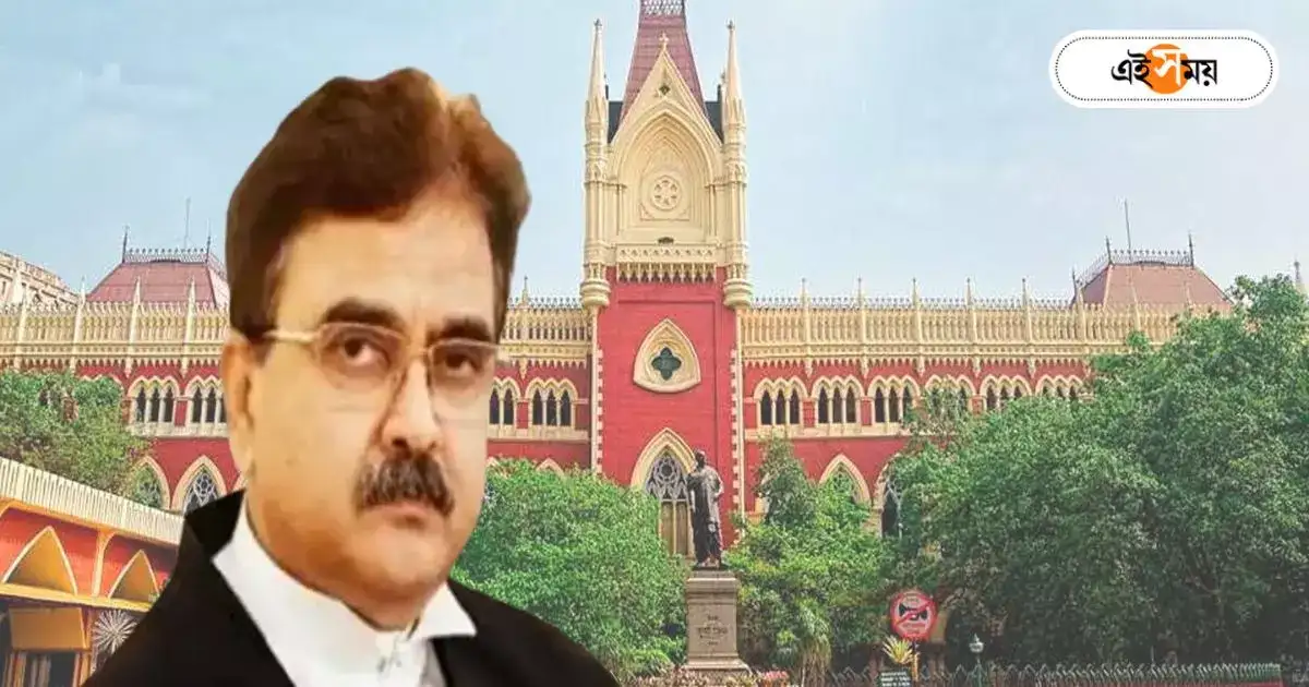 Justice Abhijit Ganguly : ‘এই যোগ্যতা নিয়ে শিক্ষক হবেন!’ চাকরিপ্রার্থীর ‘বানান’ শুনে হতবাক বিচারপতি গঙ্গোপাধ্যায় – justice abhijit ganguly calcutta high court took primary teaching job seeker spelling test inside court room