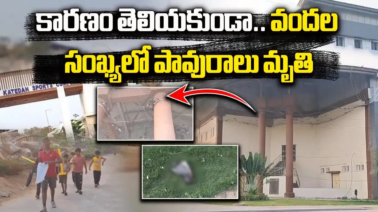 వాకింగ్ వెళ్లిన వారు భరించలేనంత దుర్వాసన.. కారణమేంటని చూస్తే..!