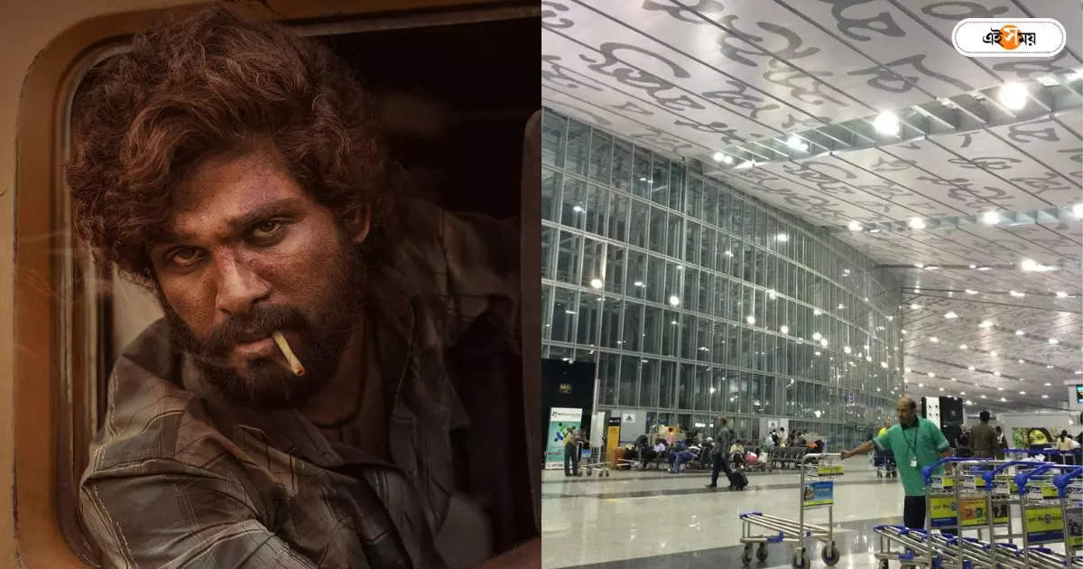 Kolkata Airport : কলকাতায় ‘পুষ্পা গ্যাং’? এয়ারপোর্টে ৩ যাত্রীর ব্যাগ খুলতেই তাজ্জব পুলিশ-CISF জওয়ানরা – bidhannagar police arrested three for trying to smuggle red sandal logs through kolkata airport