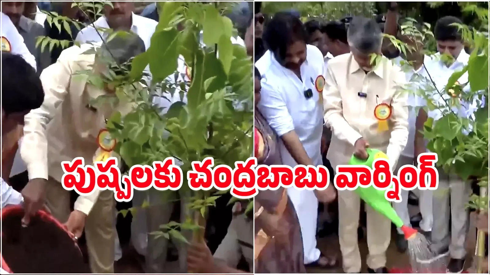 "పుష్ప"లకు సీఎం చంద్రబాబు వార్నింగ్.. ఇక అదే వారికి ఆఖరి రోజు అని వెల్లడి