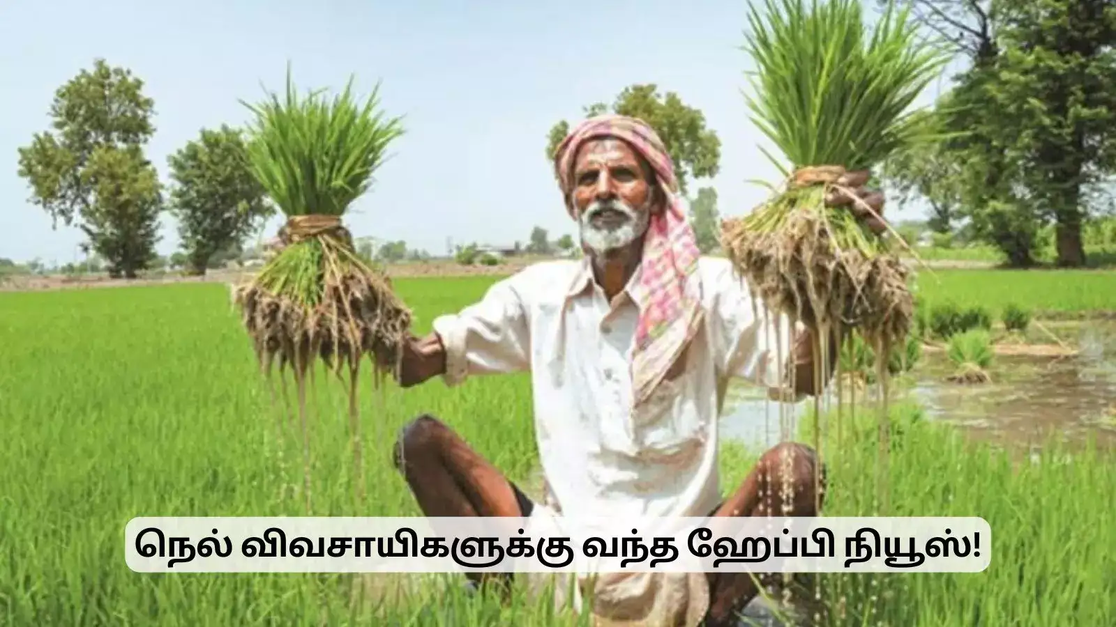 நெல் விவசாயிகளுக்கு வந்த ஹேப்பி நியூஸ்.. கொள்முதல் பணி தீவிரம்! 