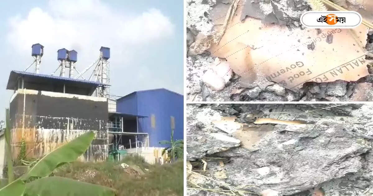 Bakibur Rahaman : প্রমাণ লোপাটের চেষ্টা? বাকিবুরের চালকলের পেছনে মিলল পোড়া নথি, শোরগোল নদিয়ায় – burnt government paper found near bakibur rahaman rice mill at nadia related with ration distribution case