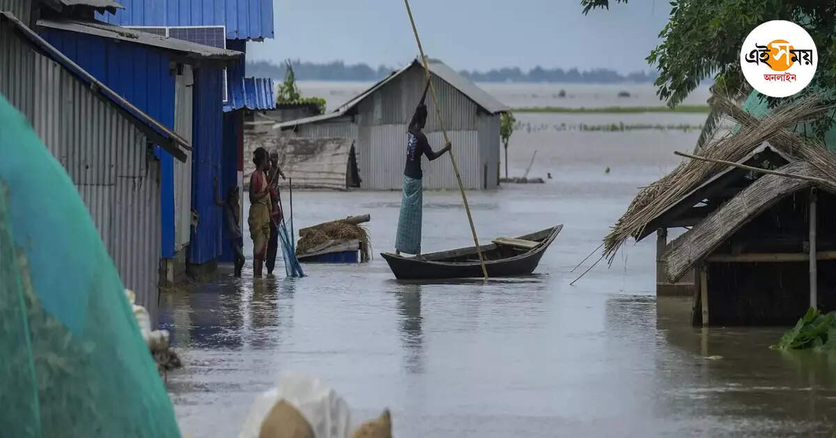 Golaghat Flood,বাঁকুড়া, পশ্চিম মেদিনীপুরের জলে আবার প্লাবিত গোঘাট, দুর্ভোগে বাসিন্দারা – golaghat flood again in bankura and west medinipur rain water