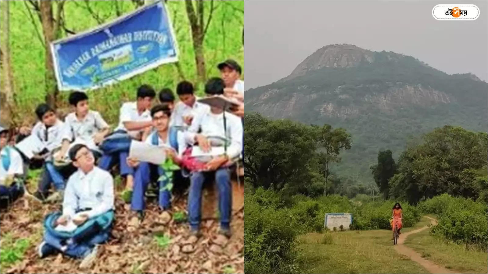 Purulia Jharbagda Forest: নেড়া পাহাড়ে মানুষের গড়া অরণ্যই এখন শিক্ষক – purulia jharbagda hill become a man made forest now