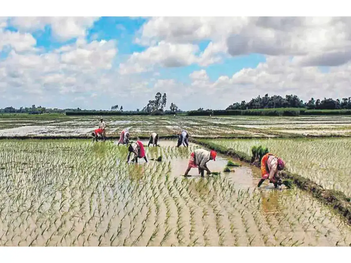நாளை முதல் விவசாயிகளின் பயிர்க்கடன்கள் ரத்து... அதிரடி காட்டும் முதல்வர்! 