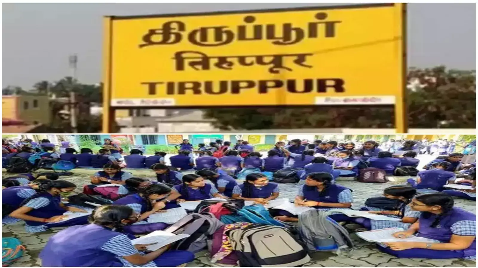 +2 ரிசல்ட் முடிவு: முதலிடத்தை தட்டி தூக்கிய திருப்பூர்.. தேர்ச்சி விகிதம் எவ்வளவு? 