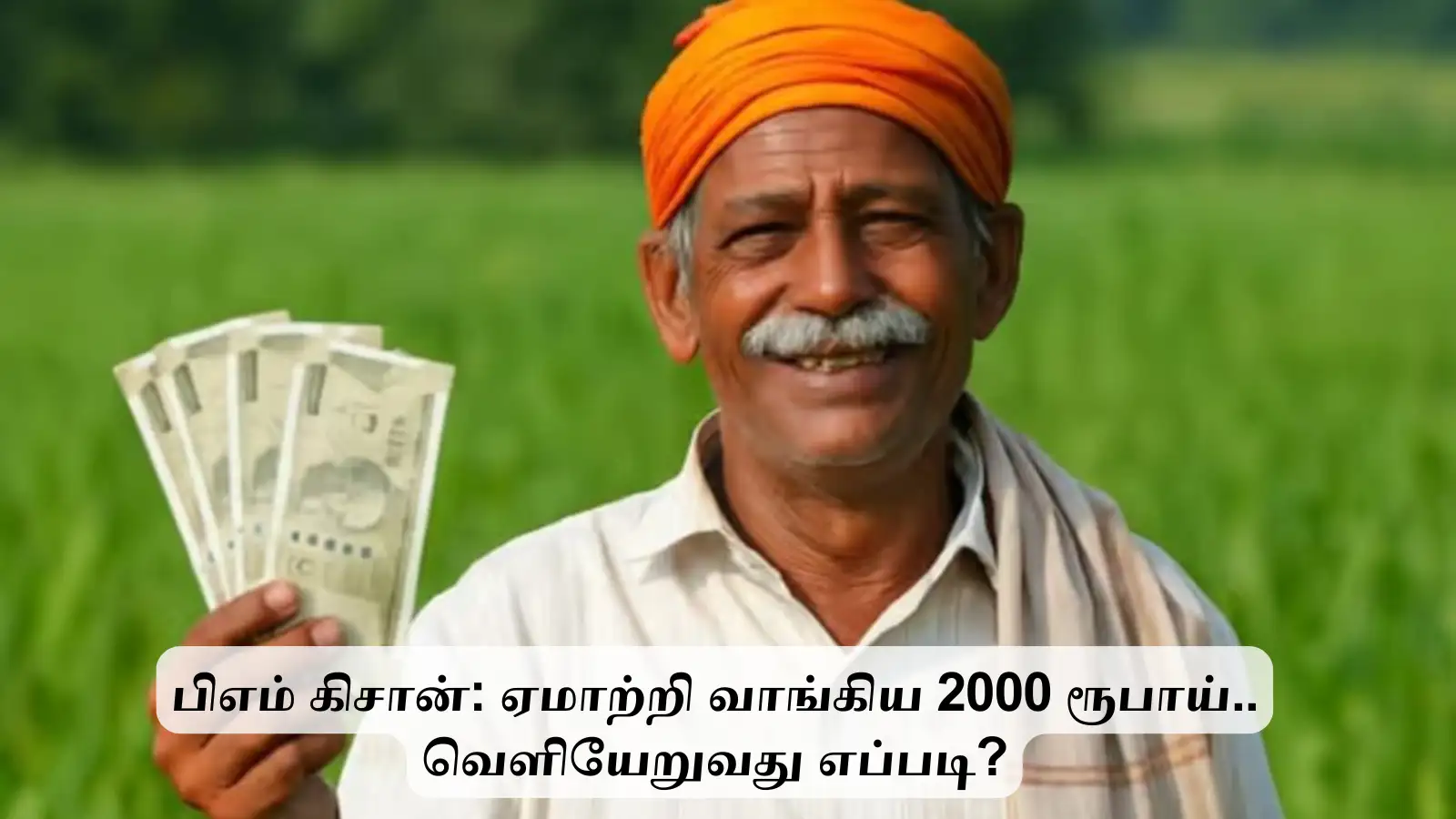 பிஎம் கிசான் திட்டத்தில் வாங்கிய 2000 ரூபாய்.. இவர்களுக்கு கிடையாது.. திருப்பி கொடுக்க என்ன செய்ய வேண்டும்? 