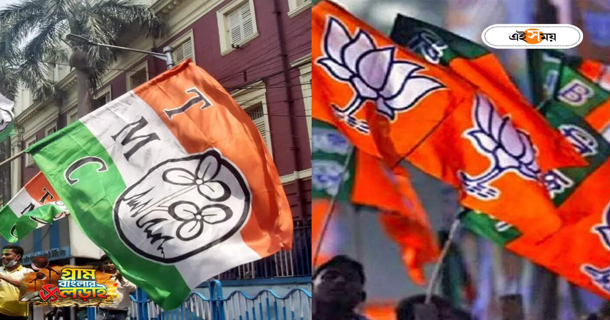 নদিয়ায় প্রাথমিক ট্রেন্ডে অনেকটাই এগিয়ে তৃণমূল, তেহট্টে চাপে শাসকদল