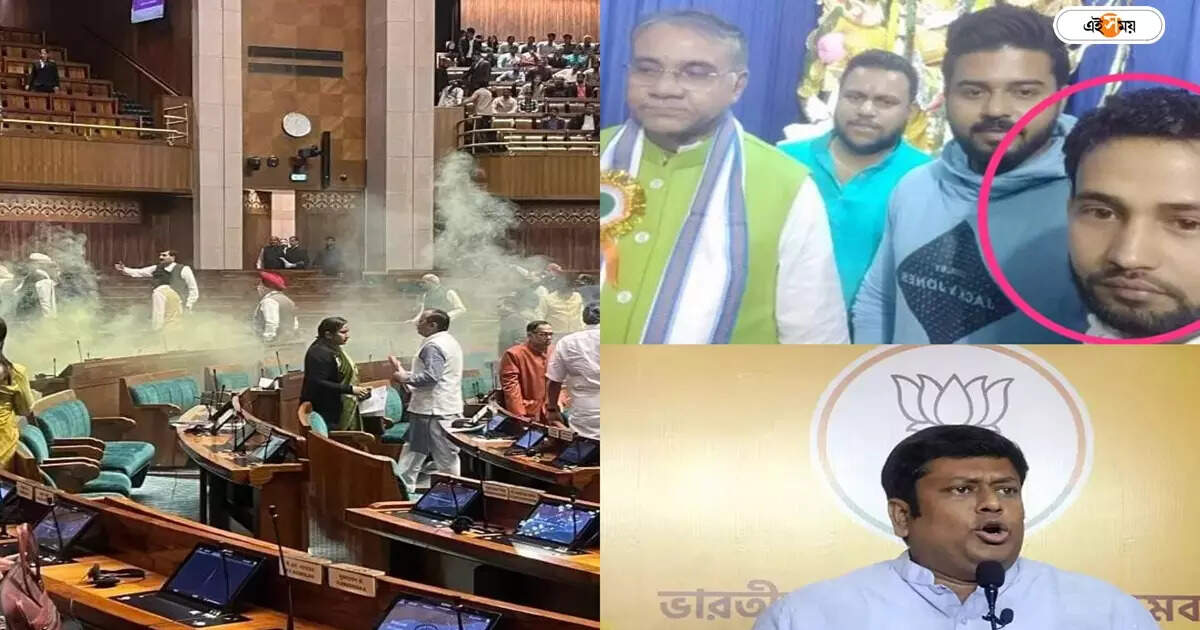 Parliament Security Breach : লোকসভায় ‘গেরিলা’ বিক্ষোভের মাস্টারমাইন্ড ললিতের সঙ্গে একফ্রেমে তৃণমূলের তাপস! সরব BJP – bjp claims connection between parliament security breach main accuse lalit jha with tmc mla tapas roy