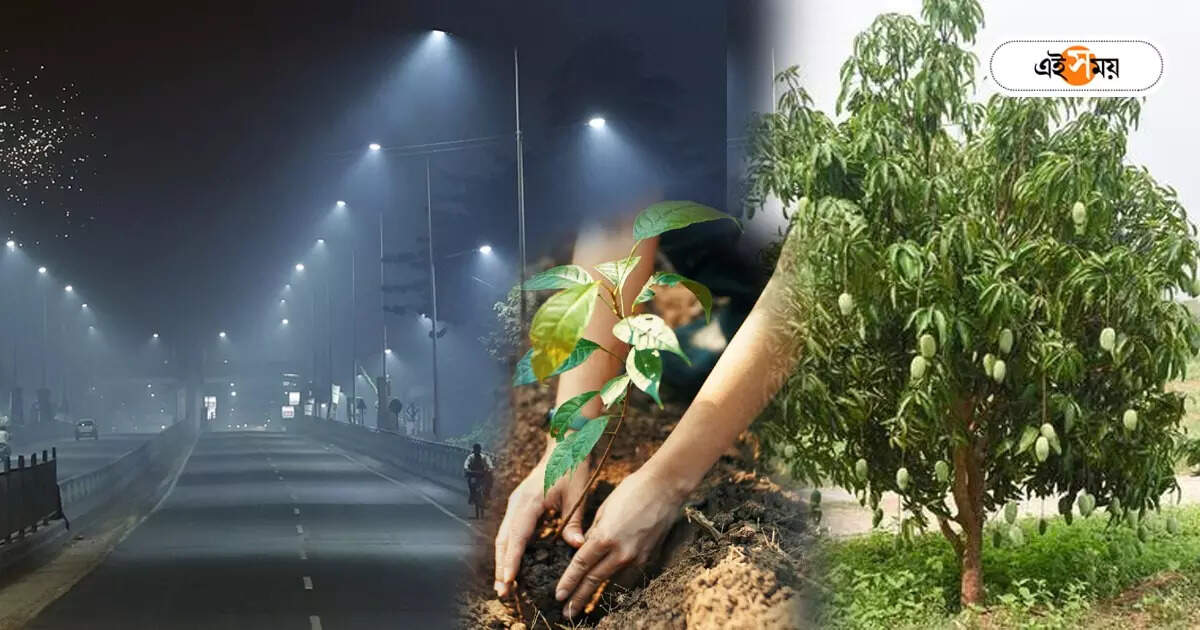 Air Pollution: বাড়ছে দূষণ, কোন গাছ লাগাবেন আবাসনে-বাড়িতে? পরামর্শে বন দফতর – best trees to reduce air pollution suggested by forest officer