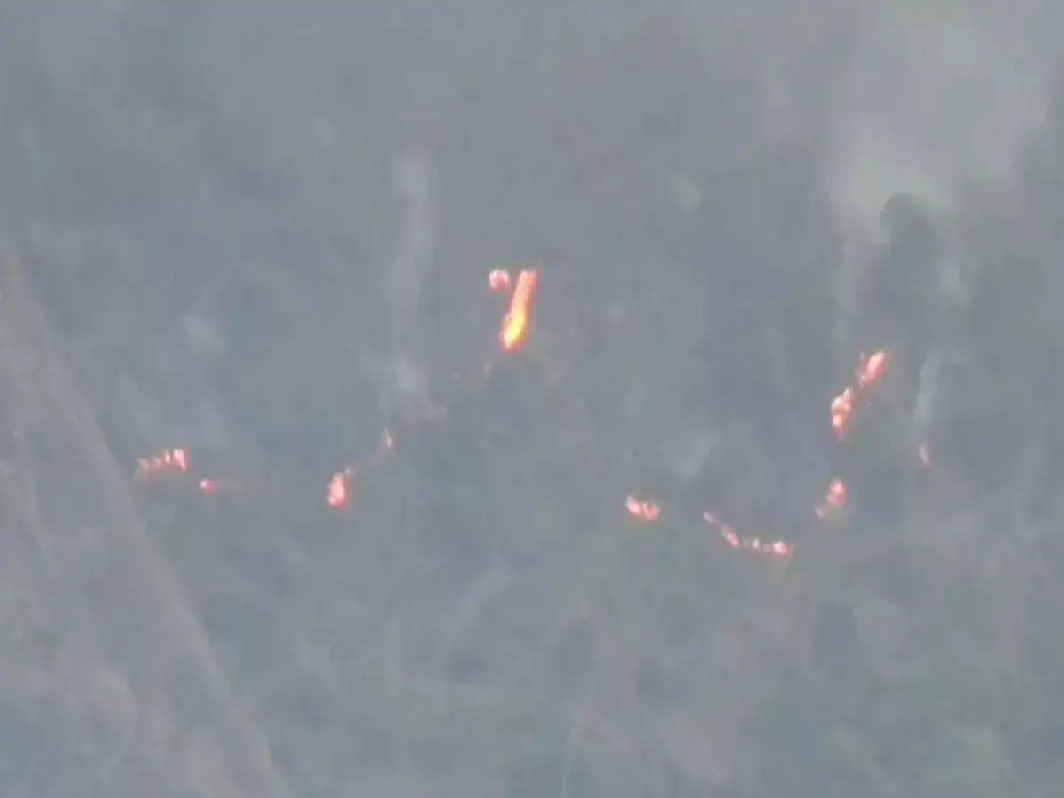 சதுரகிரியில் 2வது நாளாக காட்டுத் தீ: ஆயிரக்கணக்கான பக்தர்கள் பத்திரமாக மீட்பு..! 