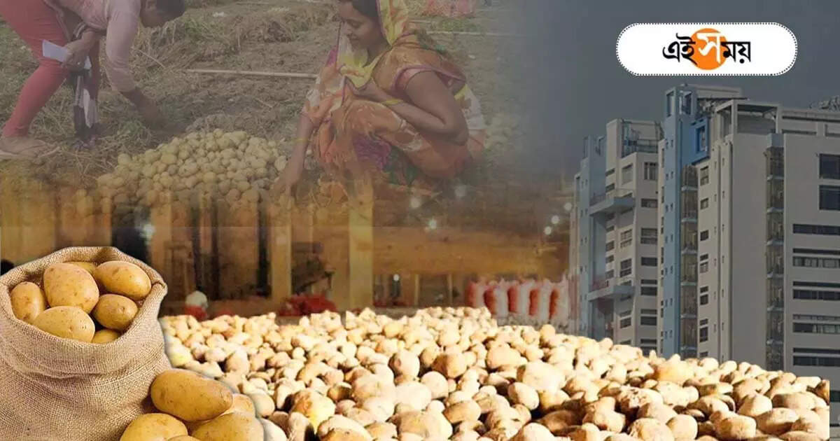 Potato Farmer,হিমঘরে ২০ শতাংশ জায়গা এবার প্রান্তিক আলুচাষিদের – west bengal government announced 20 percent space in warehouse for marginal potato farmers