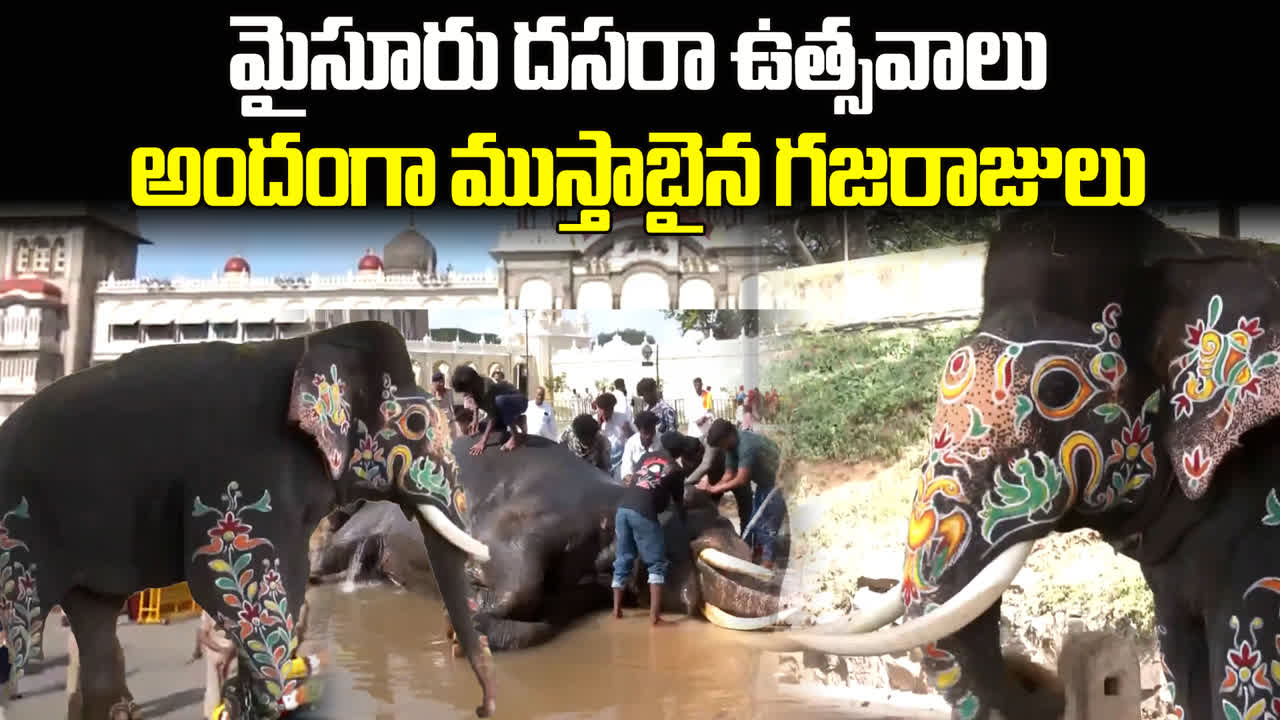 మైసూరు దసరా వేడుకల్లో జంబో సవారీ.. గజరాజుల అలంకరణ చూసేందుకు రెండు కళ్లూ చాలవు