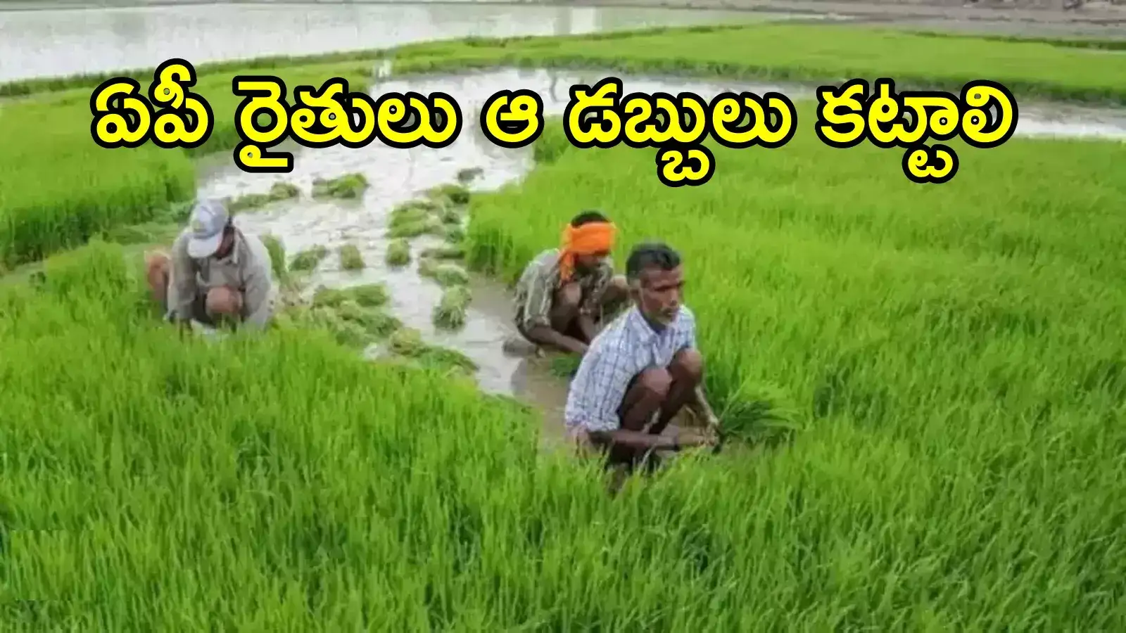 ఏపీలో రైతులకు ముఖ్య గమనిక.. ఆ డబ్బులు మీరే చెల్లించాలి