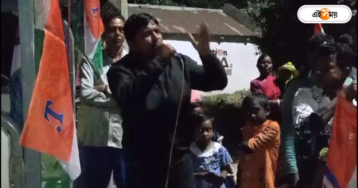 Trinamool Congress : ‘দেখলেই মাথাটা ন্যাড়া করে দিন…’, তৃণমূল নেতার মন্তব্যে তুমুল বিতর্ক – birbhum trinamool congress leader babu das threatens bjp workers