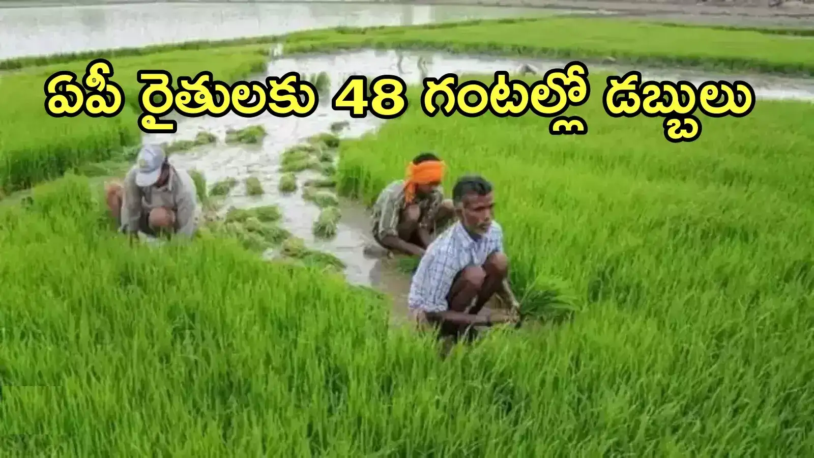 ఏపీలో రైతులకు శుభవార్త.. అకౌంట్‌లలో డబ్బుల జమ, మంత్రి కీలక ప్రకటన
