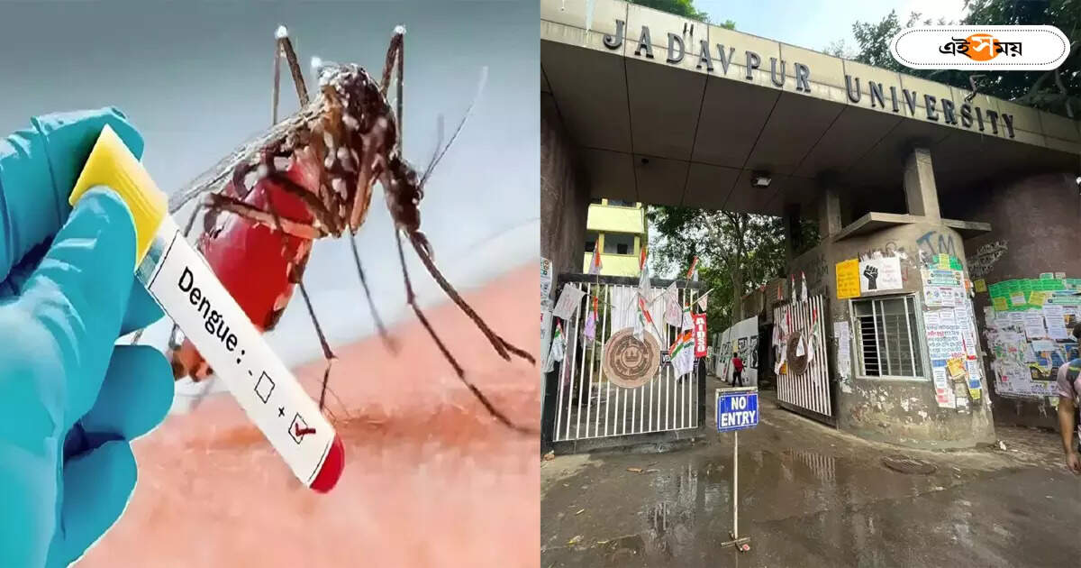 Dengue at Jadavpur University : যাদবপুর বিশ্ববিদ্যালয়ের আবাসিকদের মধ্যে ডেঙ্গির প্রকোপ, অনলাইন ক্লাসের ভাবনা উপাচার্যের – jadavpur university planning for online classes as dengue spreading in hostel